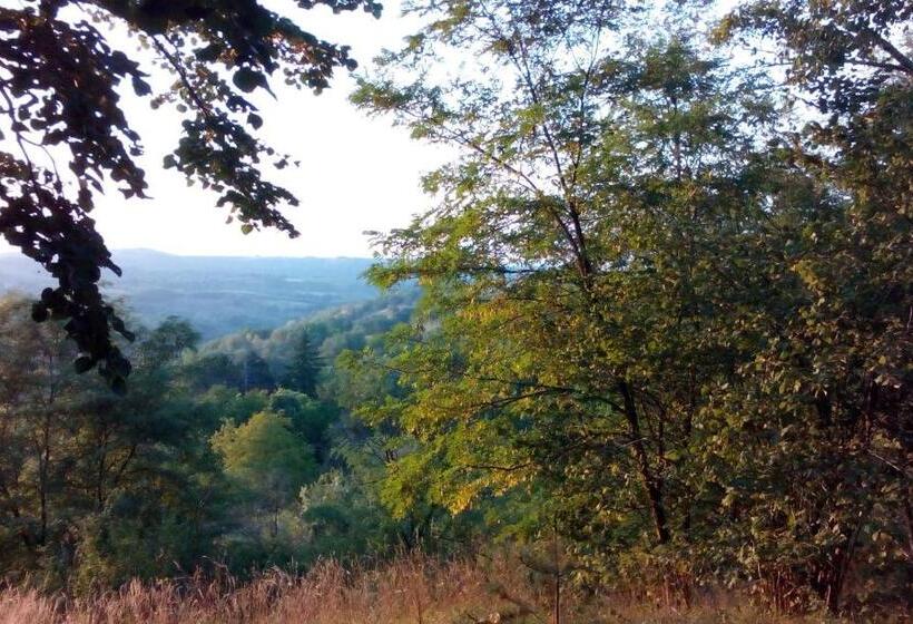 اتاق استاندارد با چشم‌انداز, Lodging Vidmar