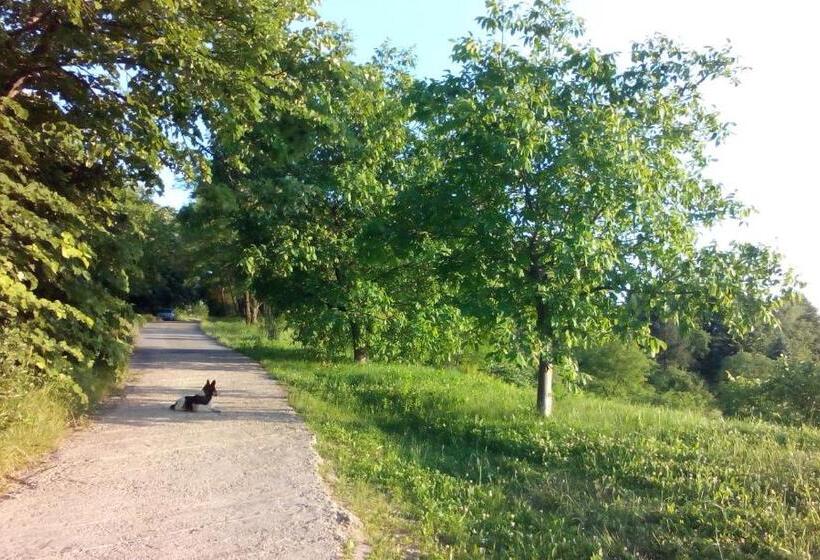 اتاق استاندارد با چشم‌انداز, Lodging Vidmar