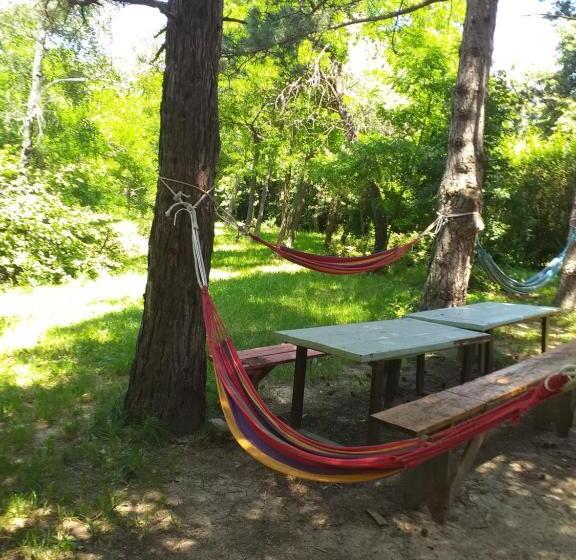 اتاق استاندارد چهارنفره با چشم‌انداز باغ, Lodging Vidmar