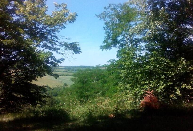 اتاق استاندارد چهارنفره با چشم‌انداز باغ, Lodging Vidmar