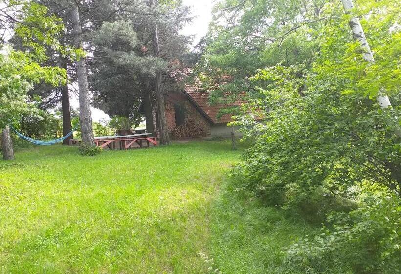 اتاق استاندارد چهارنفره با چشم‌انداز باغ, Lodging Vidmar