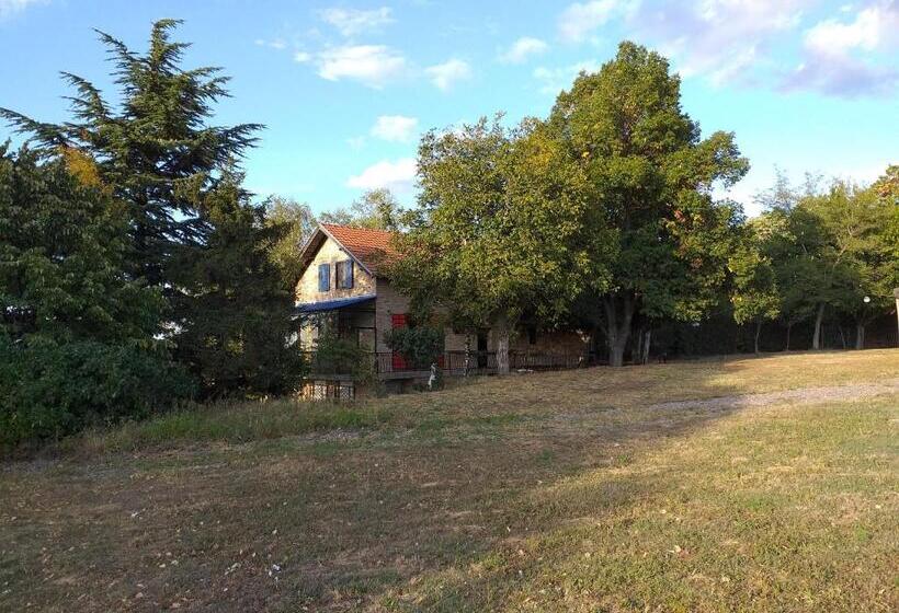 اتاق استاندارد چهارنفره با چشم‌انداز باغ, Lodging Vidmar