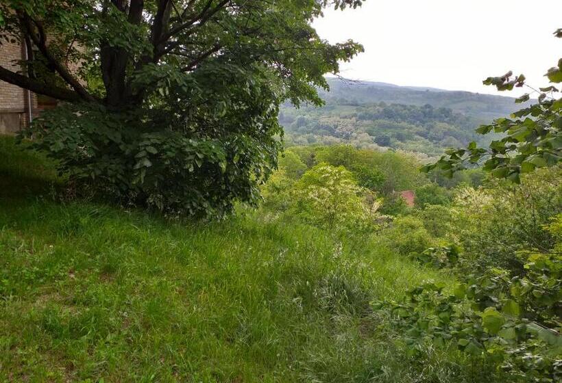 اتاق استاندارد چهارنفره با چشم‌انداز باغ, Lodging Vidmar