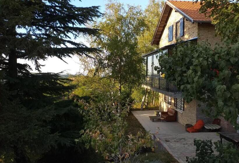 آپارتمان 1 خوابه با چشم‌انداز, Lodging Vidmar