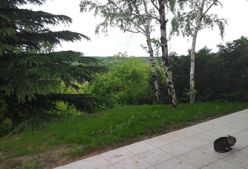 آپارتمان 1 خوابه با چشم‌انداز, Lodging Vidmar