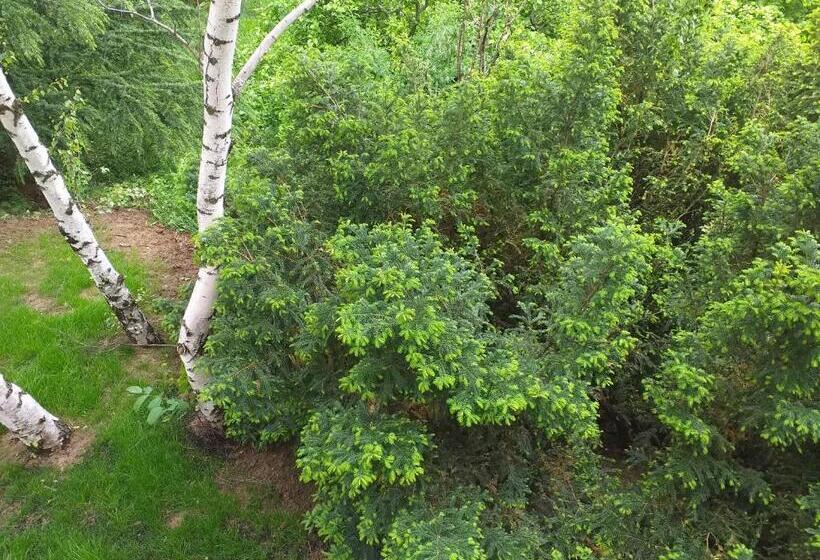 آپارتمان 1 خوابه با چشم‌انداز, Lodging Vidmar