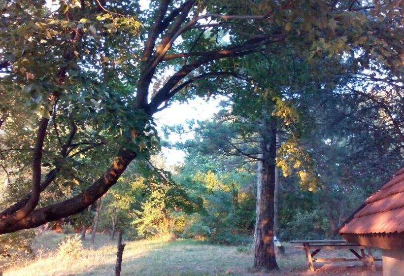 اتاق استاندارد, Lodging Vidmar