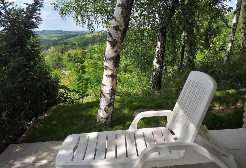 آپارتمان 1 خوابه با چشم‌انداز, Lodging Vidmar