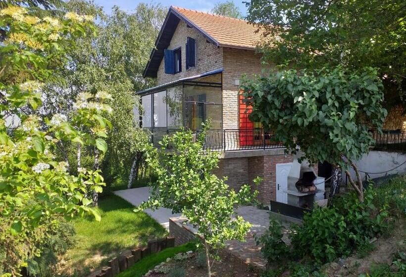 آپارتمان 1 خوابه با چشم‌انداز, Lodging Vidmar