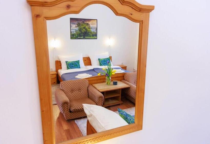 شقة سوبريور غرفة واحدة, Retel Vitez Vendégház