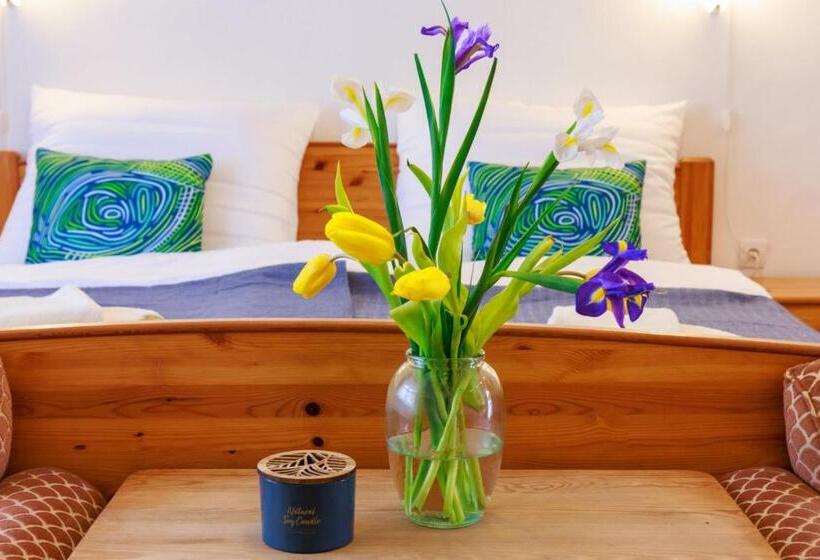 شقة سوبريور غرفة واحدة, Retel Vitez Vendégház