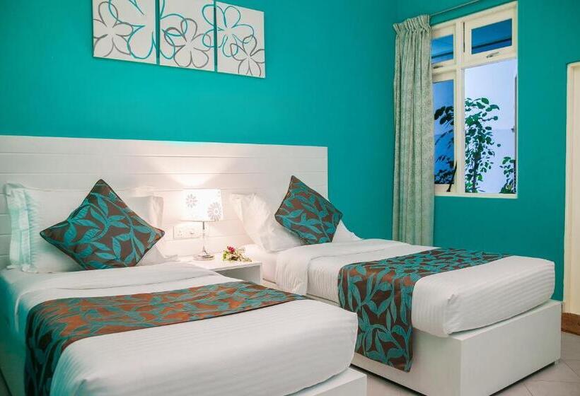 اتاق لوکس, Island Host