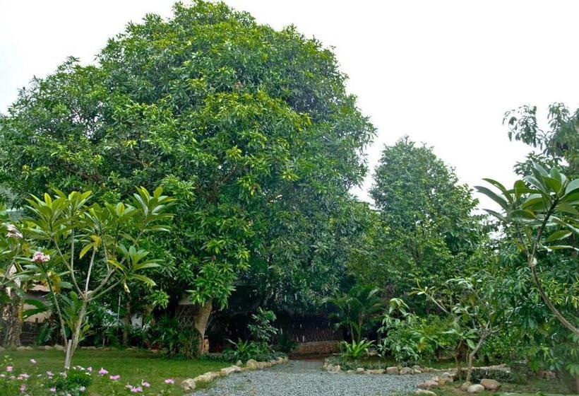 غرفة قياسية, Khmer Hands