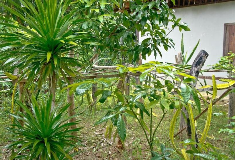 غرفة قياسية, Khmer Hands