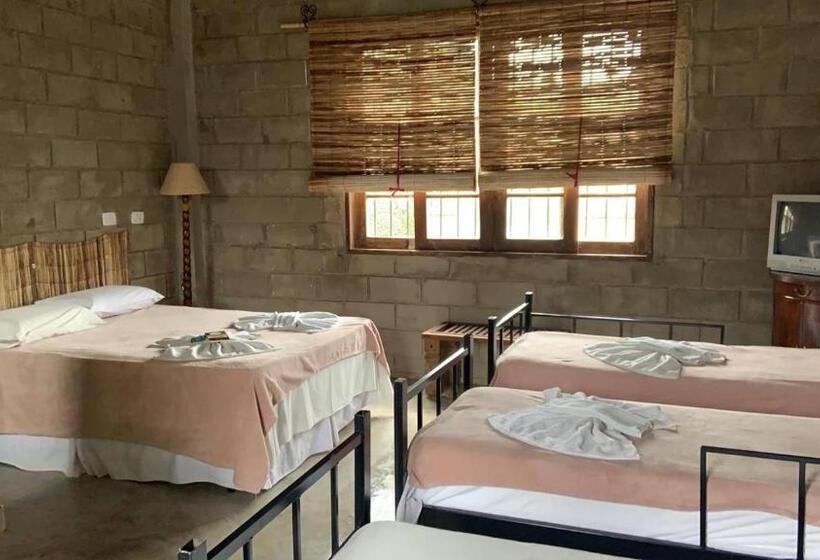 スタンダードルーム, Pousada Rota Dos Pássaros