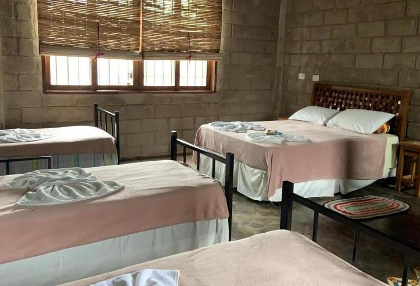 スタンダードルーム, Pousada Rota Dos Pássaros