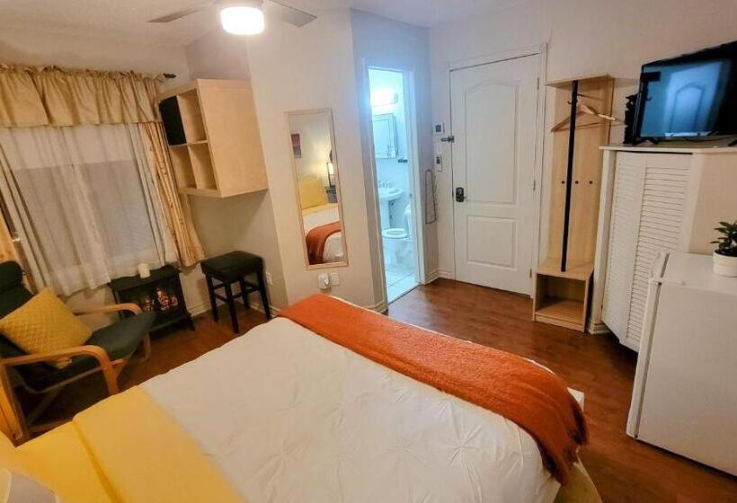 استودیوی لوکس, Kokomo Inn Bed And Breakfast Ottawa Gatineau S Only Tropical Riverfront B&b On The National Capital