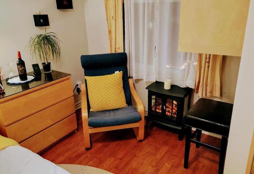 استودیوی لوکس, Kokomo Inn Bed And Breakfast Ottawa Gatineau S Only Tropical Riverfront B&b On The National Capital