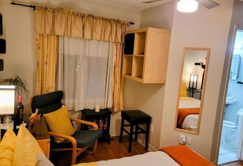 استودیوی لوکس, Kokomo Inn Bed And Breakfast Ottawa Gatineau S Only Tropical Riverfront B&b On The National Capital