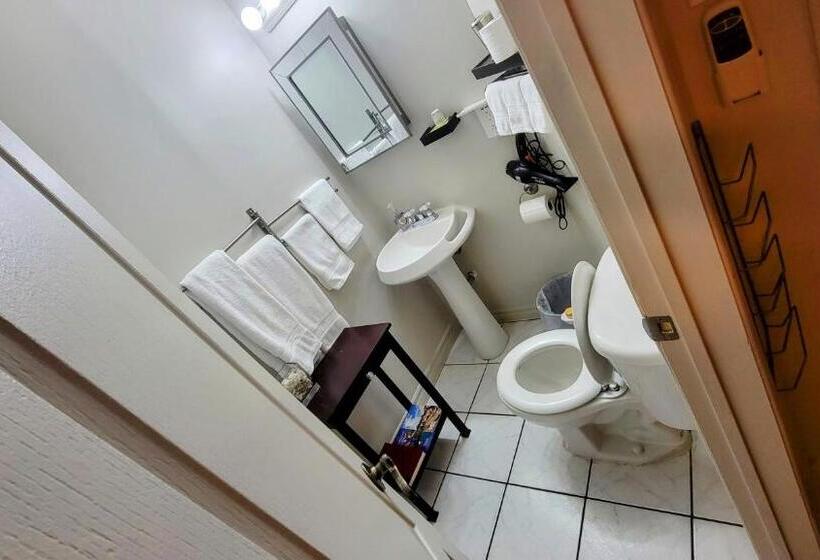 استودیوی لوکس, Kokomo Inn Bed And Breakfast Ottawa Gatineau S Only Tropical Riverfront B&b On The National Capital