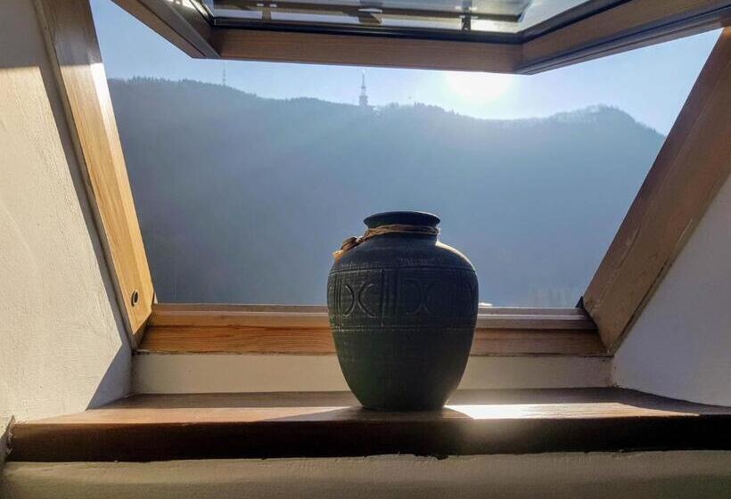 غرفة قياسية ثلاثية, Kronhaus