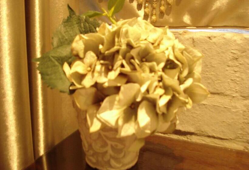 デラックスルーム, Anne's Place