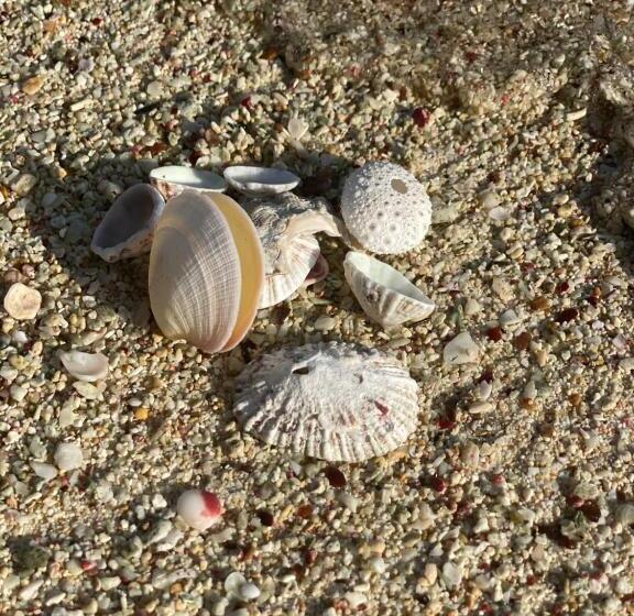 آپارتمان لوکس 1 خوابه, La Maison Calebasse