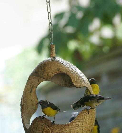 آپارتمان لوکس 1 خوابه, La Maison Calebasse