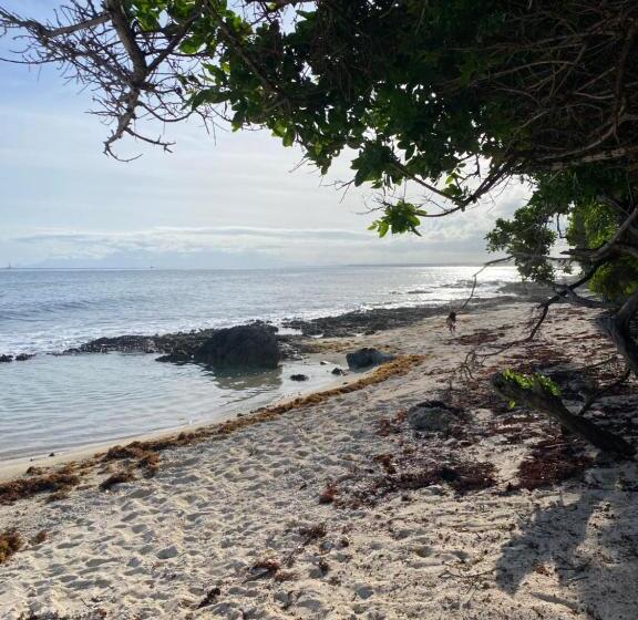 آپارتمان سوپریور 1 خوابه, La Maison Calebasse