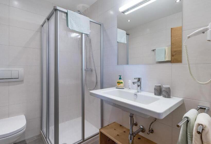 חדר סטנדרט לשלושה עם מרפסת, Riemenerhof