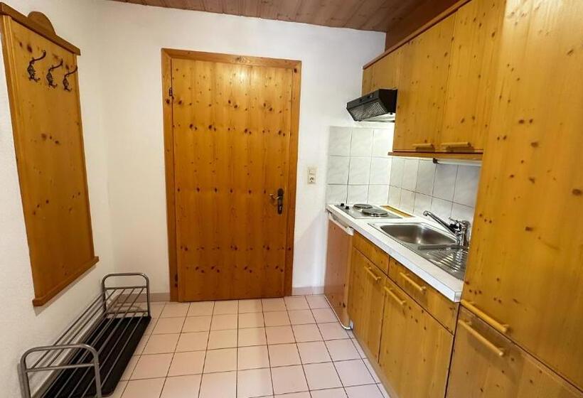 침실 1개 아파트, Alte Schmiede