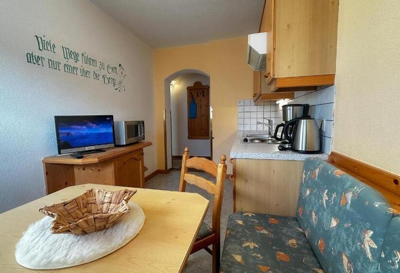 침실 1개 발코니 아파트, Alte Schmiede