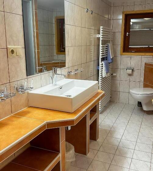 Апартаменты Комфорт 1 Спальня, Alte Schmiede