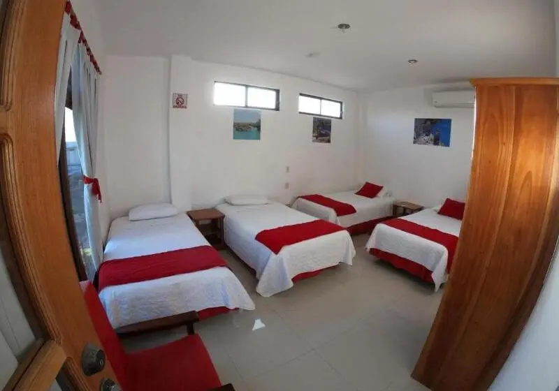 スタンダード4人部屋, Gran Hostal Tintorera