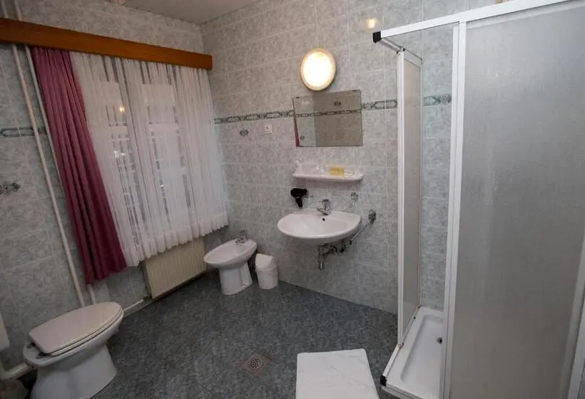 اتاق پنج‌تخته استاندارد, Guesthouse špenko