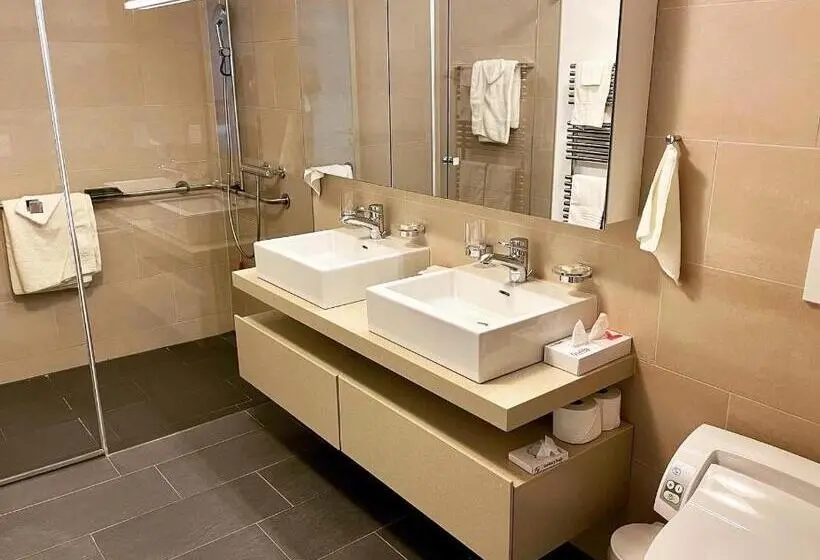 １ベッドルームのデラックスアパートメント, Tertianum Parkresidenz Meilen
