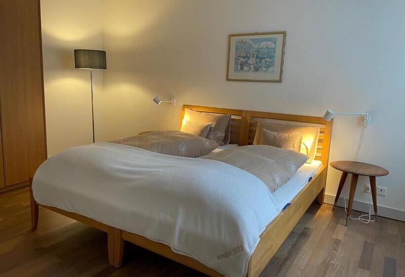 Апартаменты Deluxe 1 Спальня, Tertianum Parkresidenz Meilen