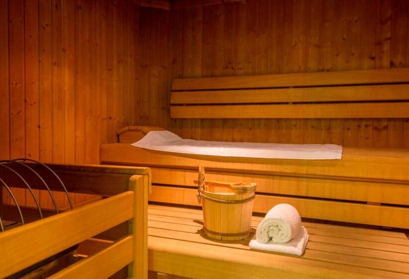 آپارتمان 1 خوابه با بالکن, Club Alpenresidenz Gastein