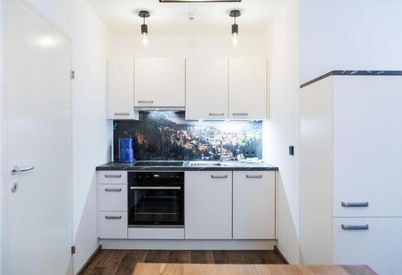 آپارتمان 1 خوابه با چشمانداز, Club Alpenresidenz Gastein