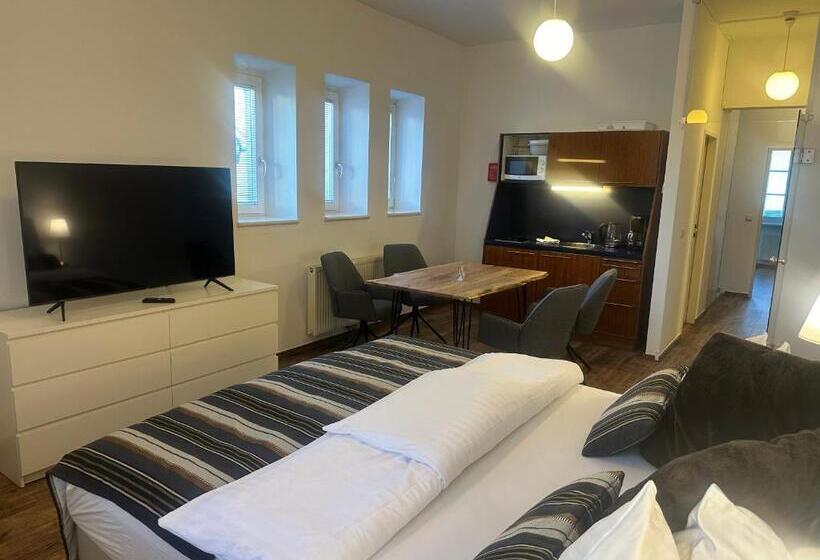 آپارتمان 1 خوابه با بالکن, Club Alpenresidenz Gastein