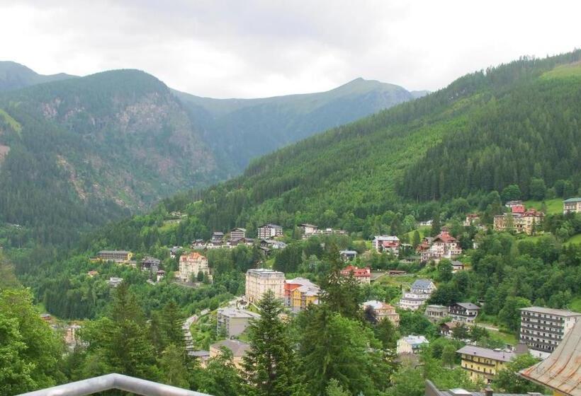 آپارتمان لوکس 1 خوابه, Club Alpenresidenz Gastein