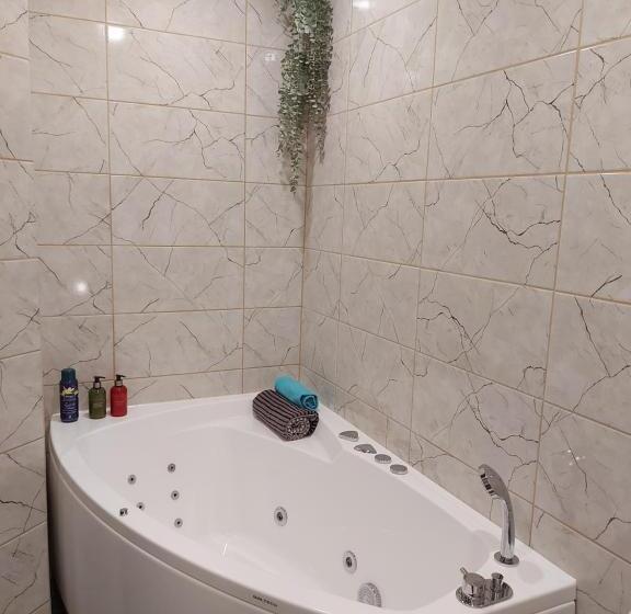 اتاق خانوادگی, Aare Accommodation