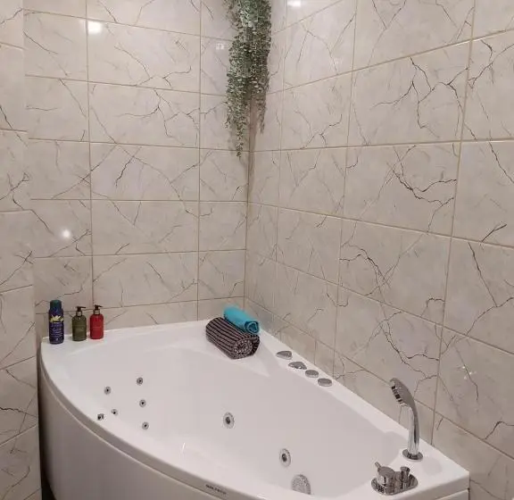 اتاق خانوادگی, Aare Accommodation