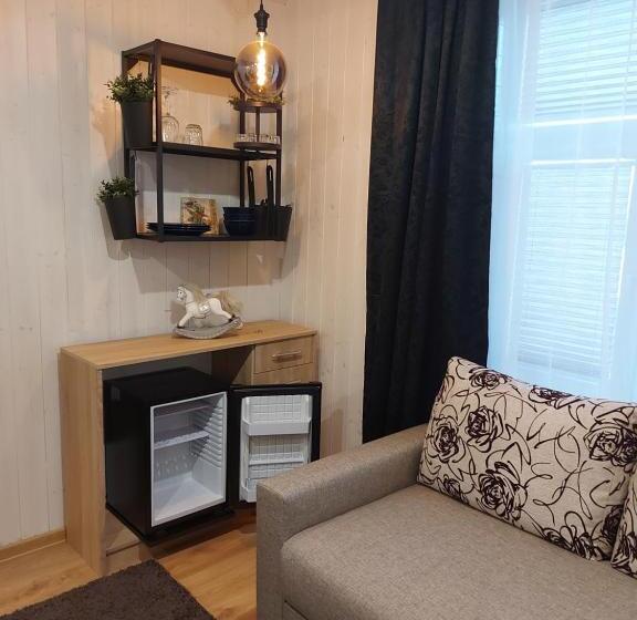 اتاق خانوادگی, Aare Accommodation