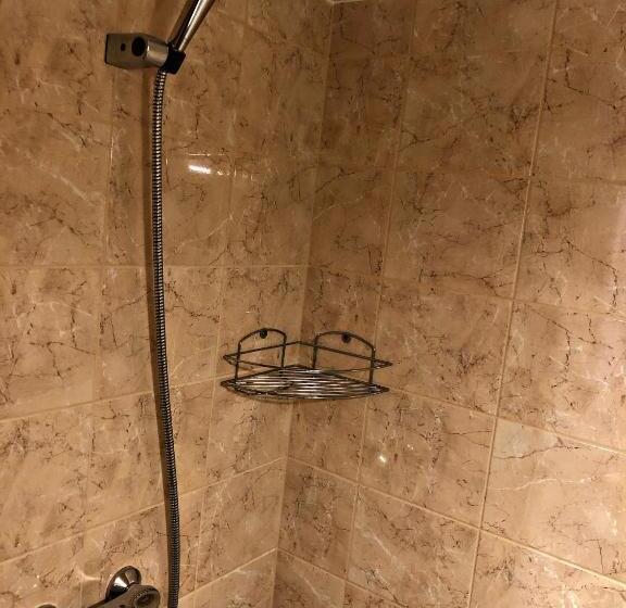 اتاق لوکس خانوادگی, Aare Accommodation