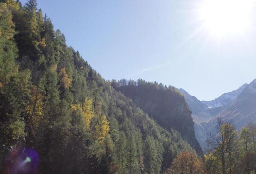 דירת חדר, Birkenheim Widmann