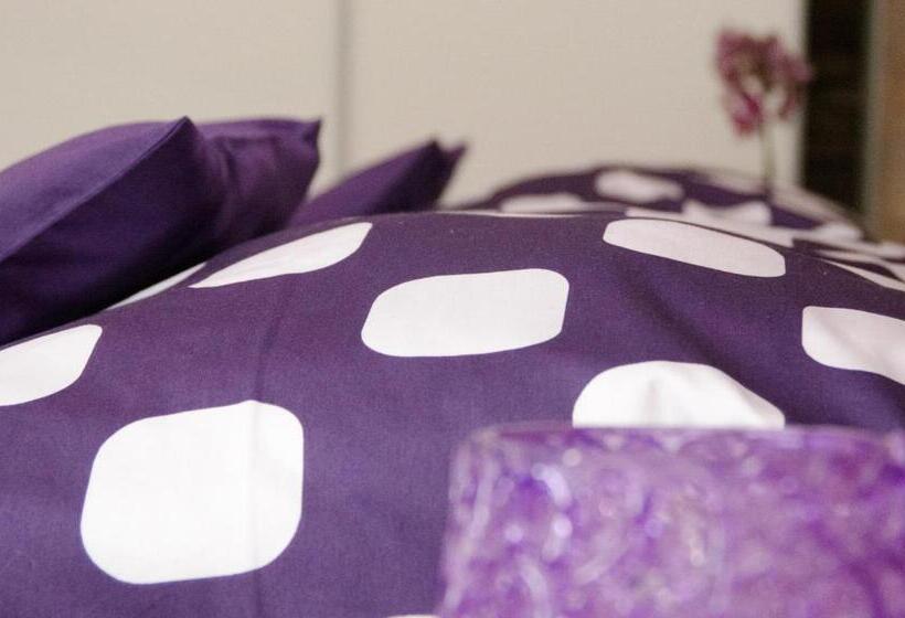 スタンダードスタジオ, Penzion No. 1