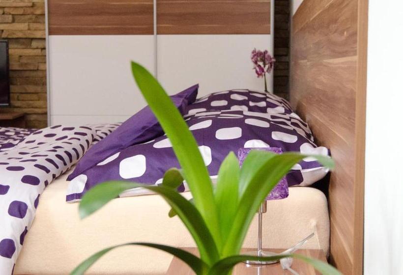 スタンダードスタジオ, Penzion No. 1