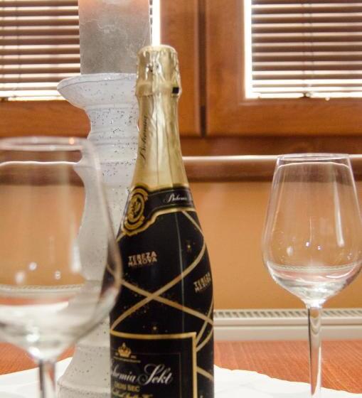 スタンダードスタジオ, Penzion No. 1