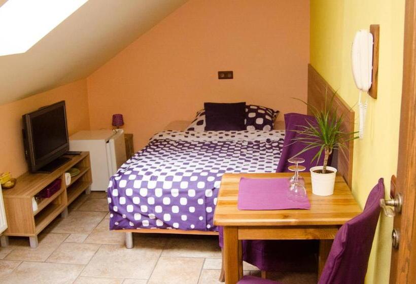 スタンダードシングルルーム, Penzion No. 1